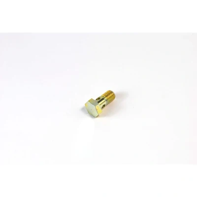 Abbildung von Hohlschraube DT Spare Parts 1.12121