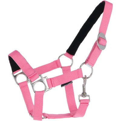Abbildung von Harry&#039;s Horse Halfter Unterlegt Rosa Vollblut