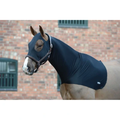 Abbildung von Weatherbeeta Hood Stretch Schwarz Warmblut