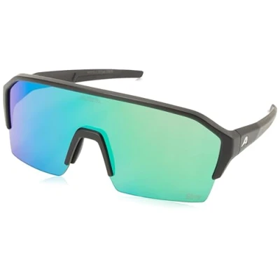 Abbildung von ALPINA Unisex RAM HR Q LITE Sonnenbrille, Black matt, One Size
