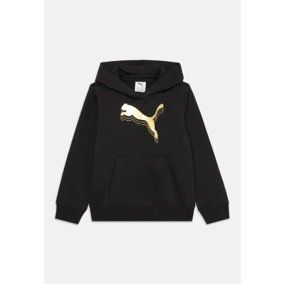 Abbildung von PUMA Kapuzensweatshirt »ESS METALLIC HOODIE FL G«