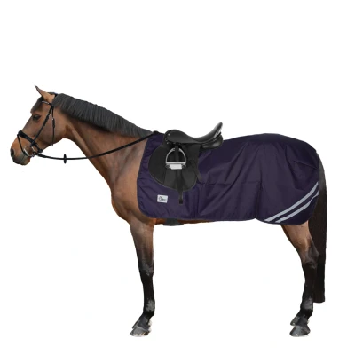 Abbildung von Harry&#039;s Horse Ausreitdecke Wodan 0g Fleece Dress Blues S