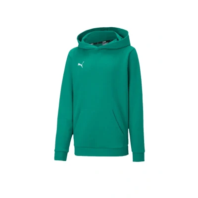 Abbildung von Puma Teamgoal 23 Casuals Hoody JR Unisex Sweatshirt für Kinder, Größe: 116, Gruen