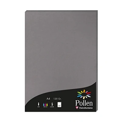 Abbildung von Clairefontaine 4283C Packung mit 50 Karten Pollen 120g, DIN A4, 21 x 29,7cm, Dunkelgrau