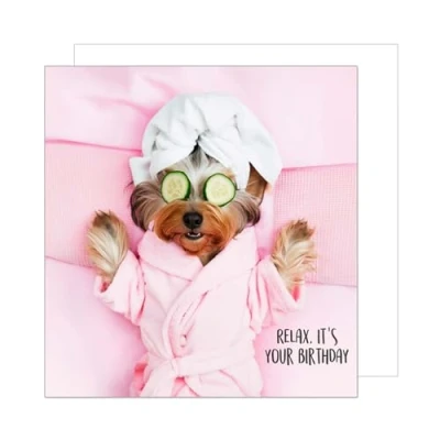 Abbildung von Edition Seidel Premium quadratische Geburtstagskarte mit Umschlag. Glückwunschkarte Happy Birthday Billet Karte Spruch für Frau Freundin Relax Hund (GQ294 SW024)
