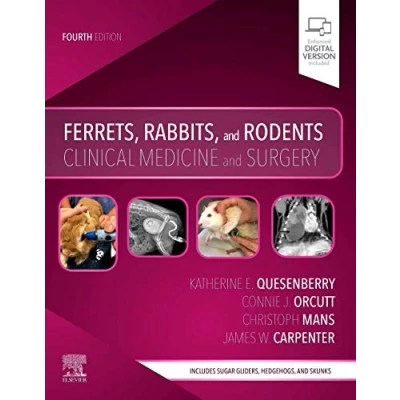 Abbildung von Ferrets, Rabbits, and Rodents: Clinical Medicine Surgery
