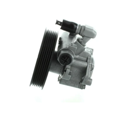 Abbildung von Hydraulische Lenkgetriebepumpe SPIDAN 54585