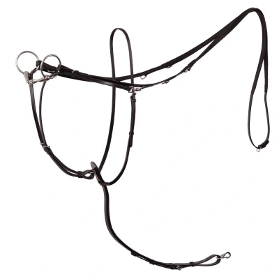 Abbildung von BR Thiedemannzügel Lancaster M/Martingal Schwarz Warmblut