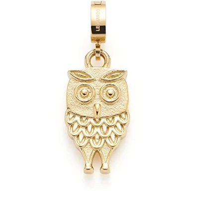 Abbildung von Leonardo Jewels Clip&amp;Mix Lilo Anhänger, Ketten Anhänger aus Edelstahl, 2,5 cm, kleiner Eulen Armband Charm, Gold, Damen Schmuck, 022886