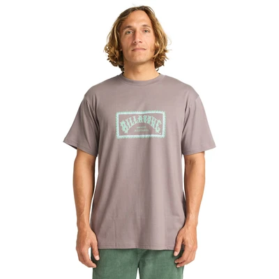 Abbildung von Billabong ARCH Frame Tshirt print, Herren, Größe: Small, Sny