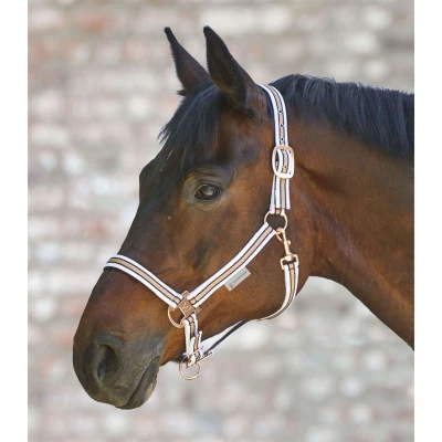 Abbildung von Waldhausen Halfter Shine Weiß/Rosé Pony