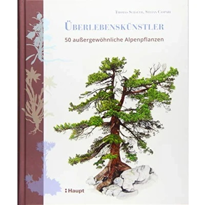 Abbildung von Überlebenskünstler: 50 außergewöhnliche Alpenpflanzen: außerordentliche Alpenpflanzen