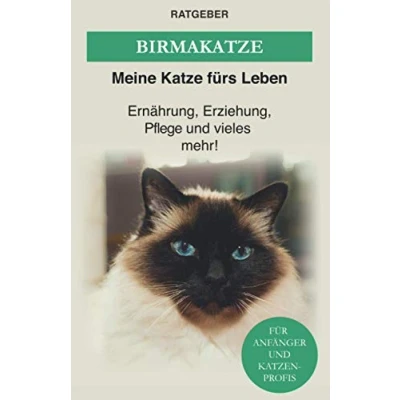 Abbildung von Birma Katze: Die heilige Katze — Ernährung, Erziehung, Pflege und vieles mehr! (Katzenrassen)