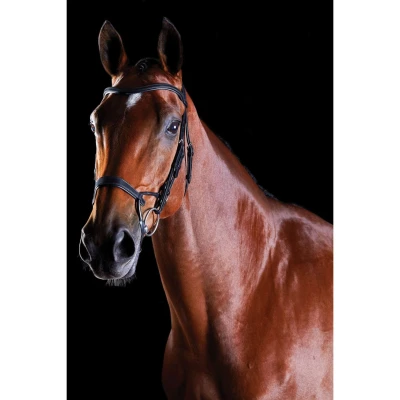 Abbildung von Collegiate ComFiTec Training Bridle