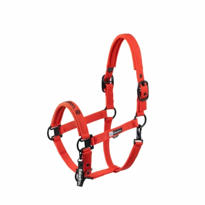 Abbildung von Eskadron FW25 Dynamic Double Pin Halter