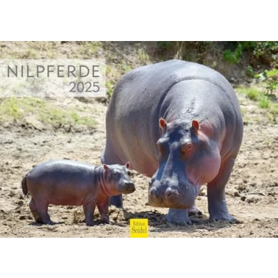 Abbildung von Edition Seidel Premium Kalender Nilpferde 2025 Format DIN A4 Wandkalender Tierkalender Afrika Nilpferd Großflusspferd Hippopotamus Nil Raubtiere Wildtiere