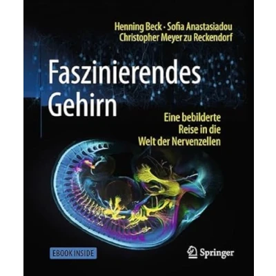 Abbildung von Faszinierendes Gehirn: Eine bebilderte Reise in die Welt der Nervenzellen