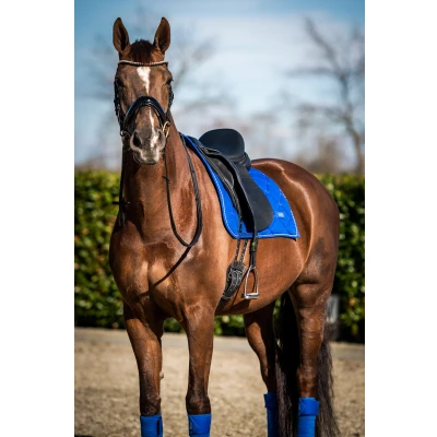 Abbildung von HB Showtime Schabracke Crown Dressur Royal Blue Warmblut