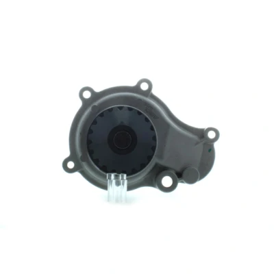 Abbildung von AISIN WPA 009 Wasserpumpe JEEP: WRANGLER 2, Cherokee III, CHRYSLER: Voyager 4, / Grand 3, PT Cruiser Estate