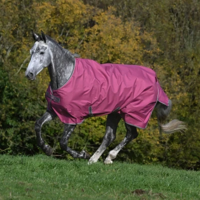 Abbildung von Bucas Freedom Turnout 300g Himbeerrot 125/168 Agradi.deVerkauft von Agradi