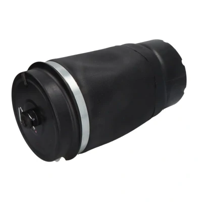 Abbildung von Magnum Technology MZL004MT Luftfeder, Fahrwerk hinten
