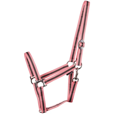 Abbildung von Harry&#039;s Horse Halfter Economy Pony Rosa / Grau