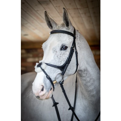 Abbildung von LeMieux Kudos Trense Grackle Schwarz Pony