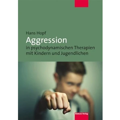 Abbildung von Aggression in psychodynamischen Therapien mit Kindern und Jugendlichen