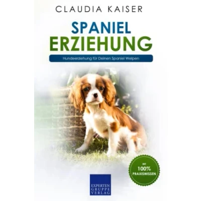 Abbildung von Spaniel Erziehung: Hundeerziehung für Deinen Welpen