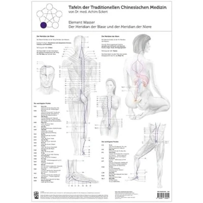 Abbildung von Element Wasser: Tafel der Traditionellen Chinesischen Medizin: Meridian Blase und Niere