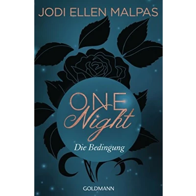 Abbildung von One Night Die Bedingung: Erotischer Roman (Die Saga, Band 1)