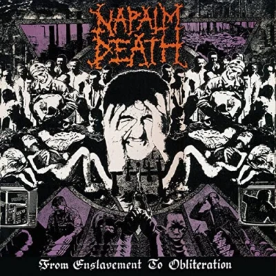 Abbildung von From Enslavement to Obliteration [Vinyl LP]