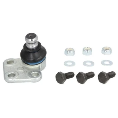 Abbildung von REINHOCH RH03 2030 Traggelenk Vorderachse rechts, unten 20 RENAULT: SCENIC 2, Kangoo II Express, MEGANE 2 Stufenheck