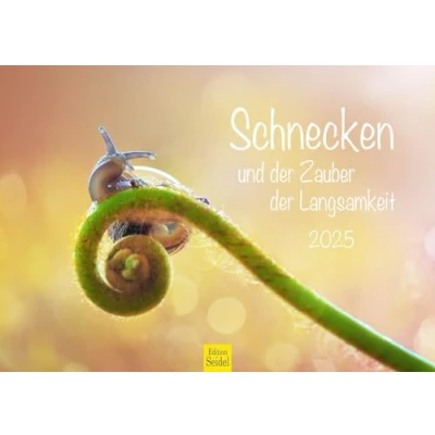 Abbildung von Edition Seidel Premium Kalender Schnecken und der Zauber Langsamkeit 2025 Format DIN A3 Wandkalender Tierkalender Schnecke Natur Zitate Sprüche