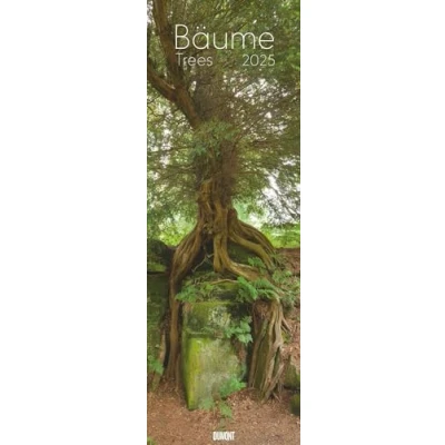 Abbildung von Bäume 2025 Foto Kalender Wand King Size 34x98: Trees
