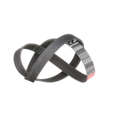 Abbildung von GATES 6PK1010 Keilrippenriemen 1010 6 Polyester, EPDM (Ethylen Propylen Dien Kautschuk) RoadMax Value Line PEUGEOT: 206 Hatchback, Boxer Van, SW