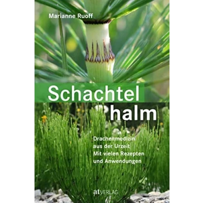 Abbildung von Schachtelhalm: Drachenmedizin aus der Urzeit. Mit vielen Rezepten und Anwendungen. einem Vorwort von Wolf Dieter Storl