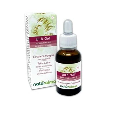 Abbildung von Wild oat oder Waldtrespe (Bromus ramosus) Bach Blüten Naturalma Tropfen 30 ml Alkoholfreier Flüssigextrakt Blütenessenzen Vegan und alkoholfrei