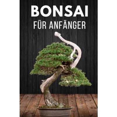 Abbildung von Bonsai für Anfänger: Das Wichtigste zur Pflege