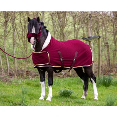 Abbildung von HB Showdecke Dutch Crown Little Sizes Burgund 77/95