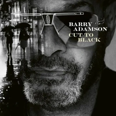 Abbildung von Cut to Black (180g Lp) [Vinyl LP]