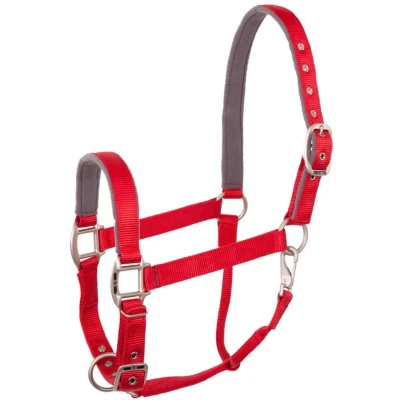 Abbildung von BR Halfter Event Doppelt Verstellbar Florid Rot Pony