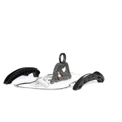 Abbildung von FEBI BILSTEIN 102423 Steuerkettensatz Zahnkette, Kette geschlossen VOLKSWAGEN: Polo V Hatchback, GOLF 5, 6, SEAT: Ibiza 4 Sportcoupe,