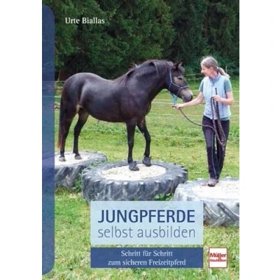 Abbildung von Jungpferde selbst ausbilden: Schritt für zum gelassenen Freizeitpferd