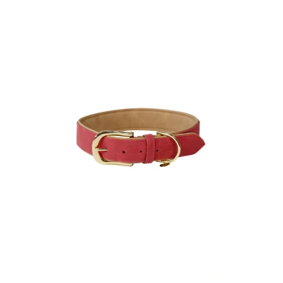 Abbildung von Kentucky HundeKragen Soft Vegan Leather Rot/Beige 50cm