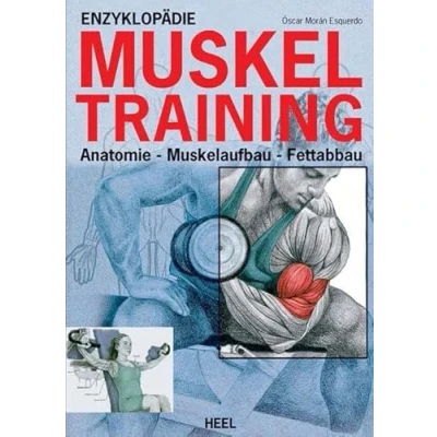 Abbildung von Enzyklopädie Muskeltraining: Anatomie Muskelaufbau Fettabbau