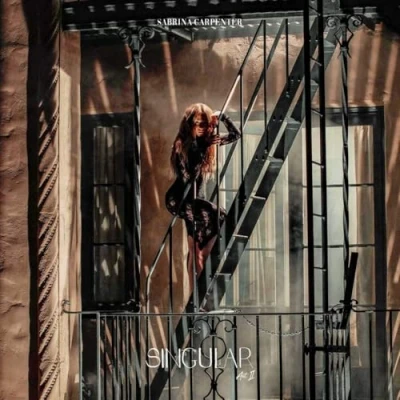 Abbildung von Singular Act II (LP) [Vinyl LP]