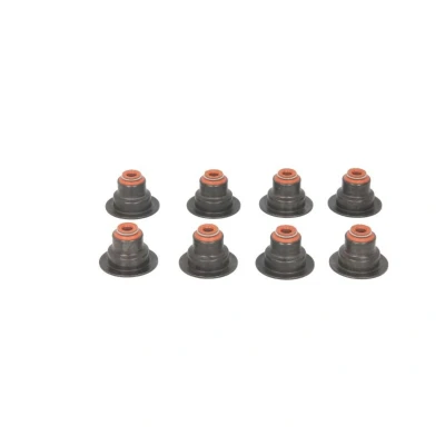 Abbildung von REINZ 12 33447 01 Dichtungssatz, Ventilschaft RENAULT: Kangoo I Express