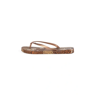 Abbildung von Ipanema Zehentrenner Animal Print Zehentrenner, Damen, Größe: 37, Braun Schuhe