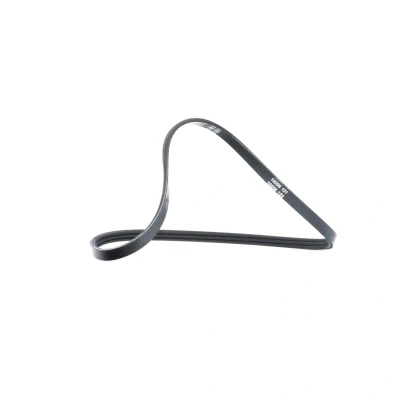Abbildung von DAYCO 3PK740 Keilrippenriemen 740,0 3 RENAULT: CLIO 2, Kangoo I Express, I, DACIA: Sandero Logan Saloon